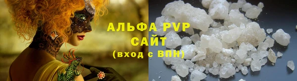 молекула духа Сясьстрой