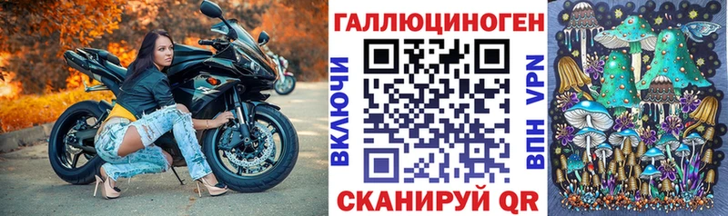 Псилоцибиновые грибы ЛСД  ОМГ ОМГ   Камбарка  купить  сайты 